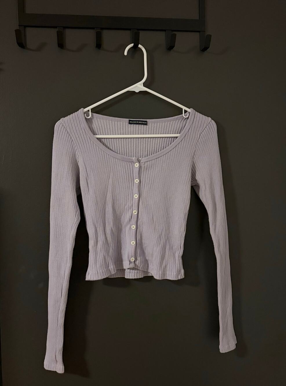 Light Purple/Blue Brandy Melville Long Sleeve Cropped Shirt